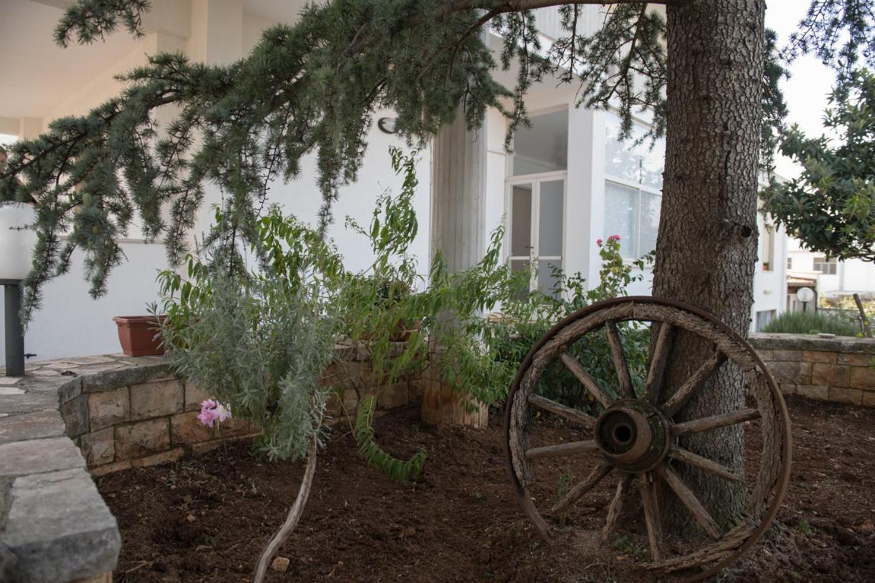 B&B Cenzina Alberobello Exterior foto